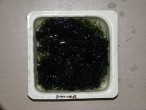 IMG_8987.JPG
