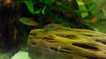 copy_439_copy_420_IMG_20150829_105132.jpg