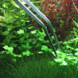 copy_577_copy_692_copy_574_copy_234_copy_903_copy_533_copy_620_copy_990_copy_128_copy_507_27CM-Aquarium-Live-Plant-Tank-Curve-Scissors-Stainless-Steel-Tweezers-Tool-02-25042-1.jpg