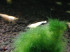 copy_72_IMG_3523.jpg