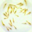 copy_925_copy_540_copy_510_DSC_4853_cr.jpg