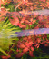 copy_993_01.jpg