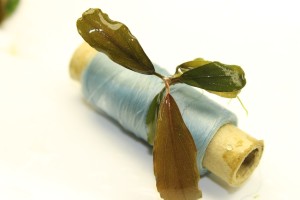 Изображение 3361.jpg