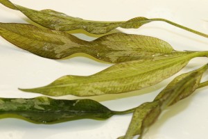 Изображение 3382.jpg