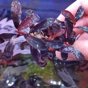 20150719_164554.jpg