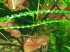 20151205_172333.jpg