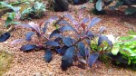 20151206_205047.jpg