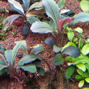 20151213_155315.jpg
