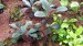 20151213_155315.jpg