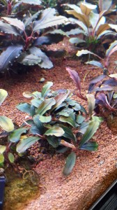 20151213_175853.jpg