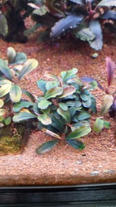 20151213_175914.jpg
