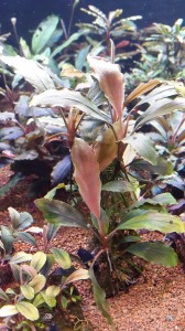 20151213_182637.jpg