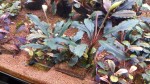 20151213_184522.jpg