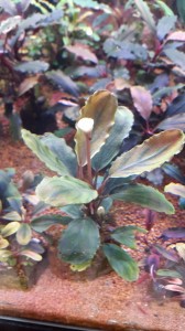 20151213_194455.jpg