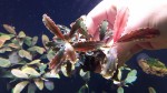 20151213_195829.jpg