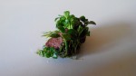 20151218125526.jpg