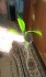 20151222_161857.jpg