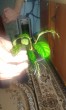 20151222_161943.jpg