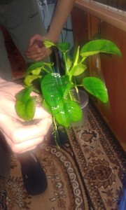 20151222_162043.jpg