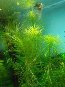 DSCF1272.JPG