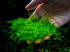 DSCF2849.jpg