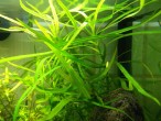 DSCF9130.JPG
