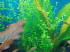 DSCN0016.JPG