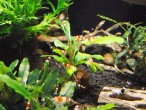 DSCN0549.JPG