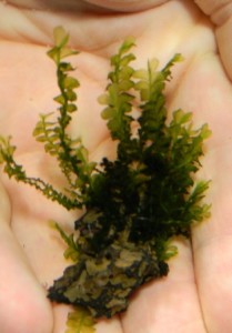 DSCN4024.JPG