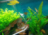 DSCN4029.JPG