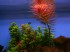 DSCN5753.JPG