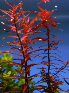 DSCN5780.JPG