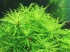 copy_131_copy_790_image6.jpg