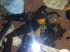 copy_178_copy_174_IMG_20151203_130427.jpg