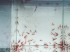 copy_248_copy_767_copy_111_image6.jpg