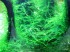 copy_605_IMG_6098.jpg