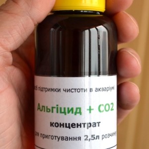 copy_718_algi_2.5_hand.jpg