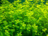 copy_83_DSCN0004.jpg