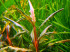 copy_88_DSCN13302.jpg