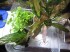 copy_93_IMG_2607.jpg