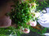 copy_985_DSCN4027.jpg