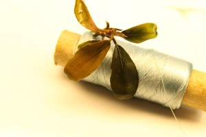 Изображение 3418.jpg