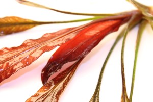 Изображение 3435.jpg