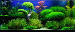 027_01_Aqua112_PRs_Sale.jpg