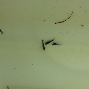 20160112_121818.jpg