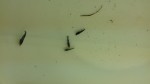 20160112_121924.jpg