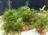 20160125_205403.jpg