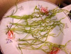 DSC01414.JPG