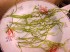 DSC01414.JPG