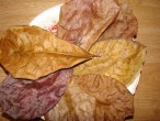 DSC01427.JPG